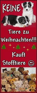Verschenke keine Tiere zu Weihnachten